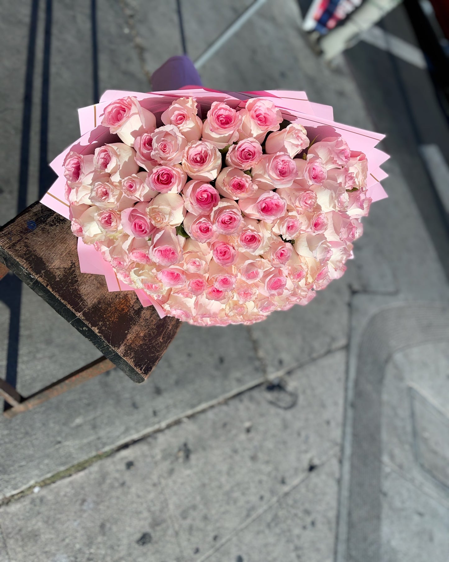 100 of Baby pink roses Buchon image 2