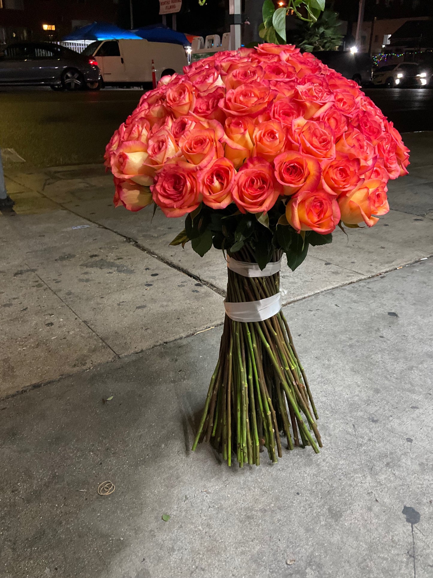 100 Premium Sky Fire Roses long Stem image 2