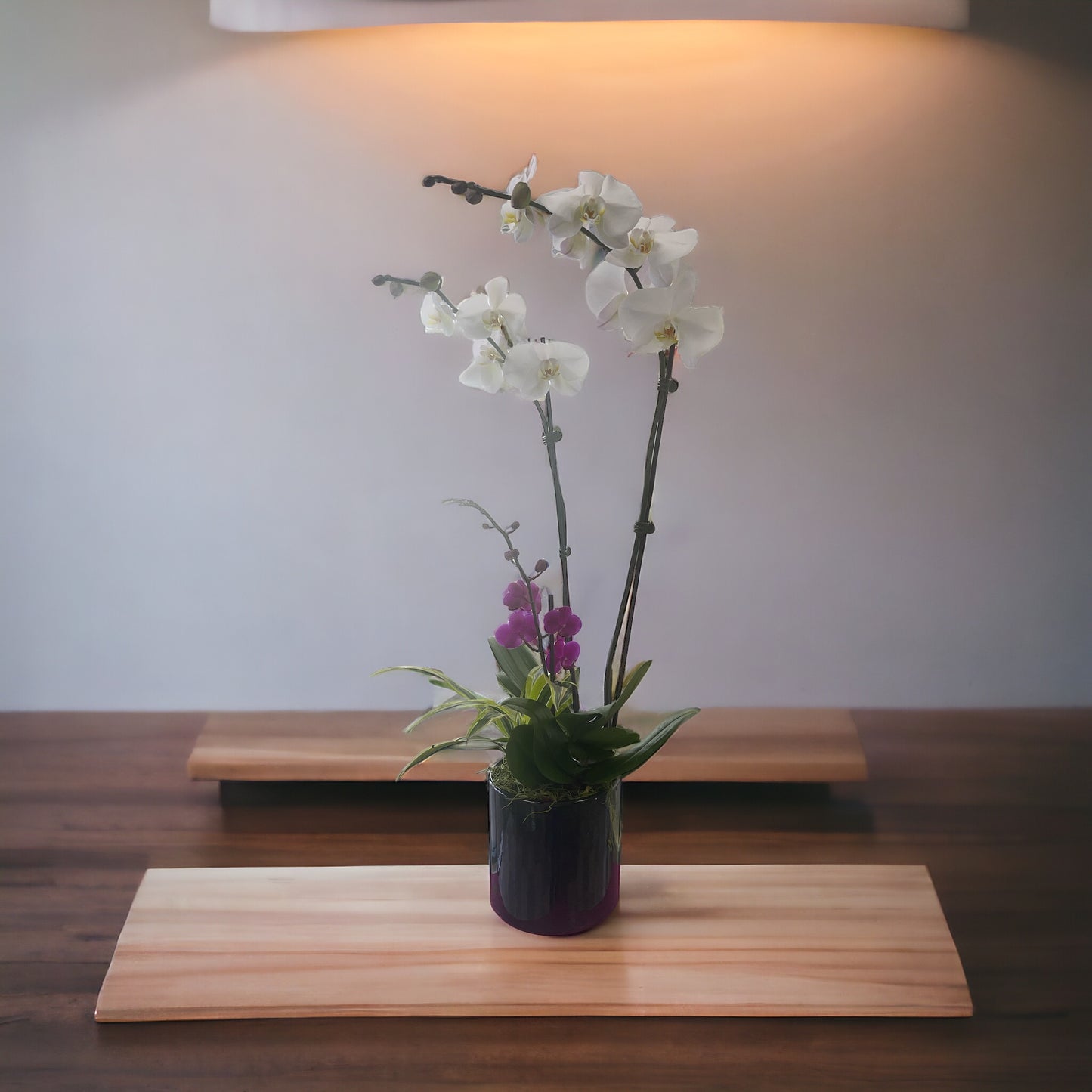 Beautiful Set of Orchids and a Small plant image 3