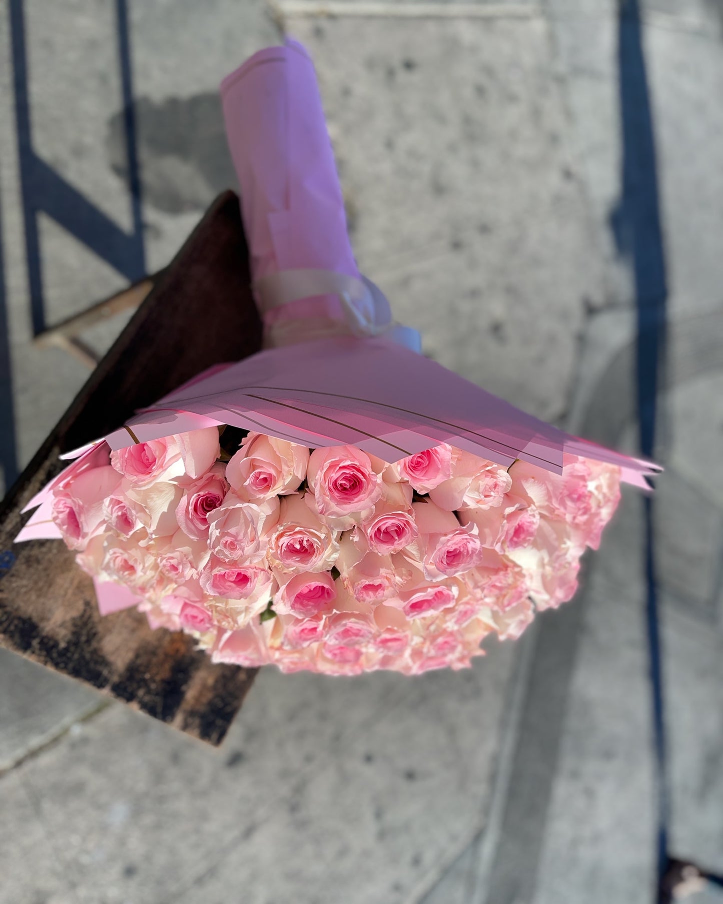 100 of Baby pink roses Buchon image 3