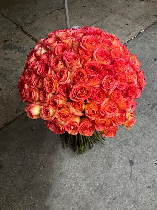 100 Premium Sky Fire Roses long Stem image 1