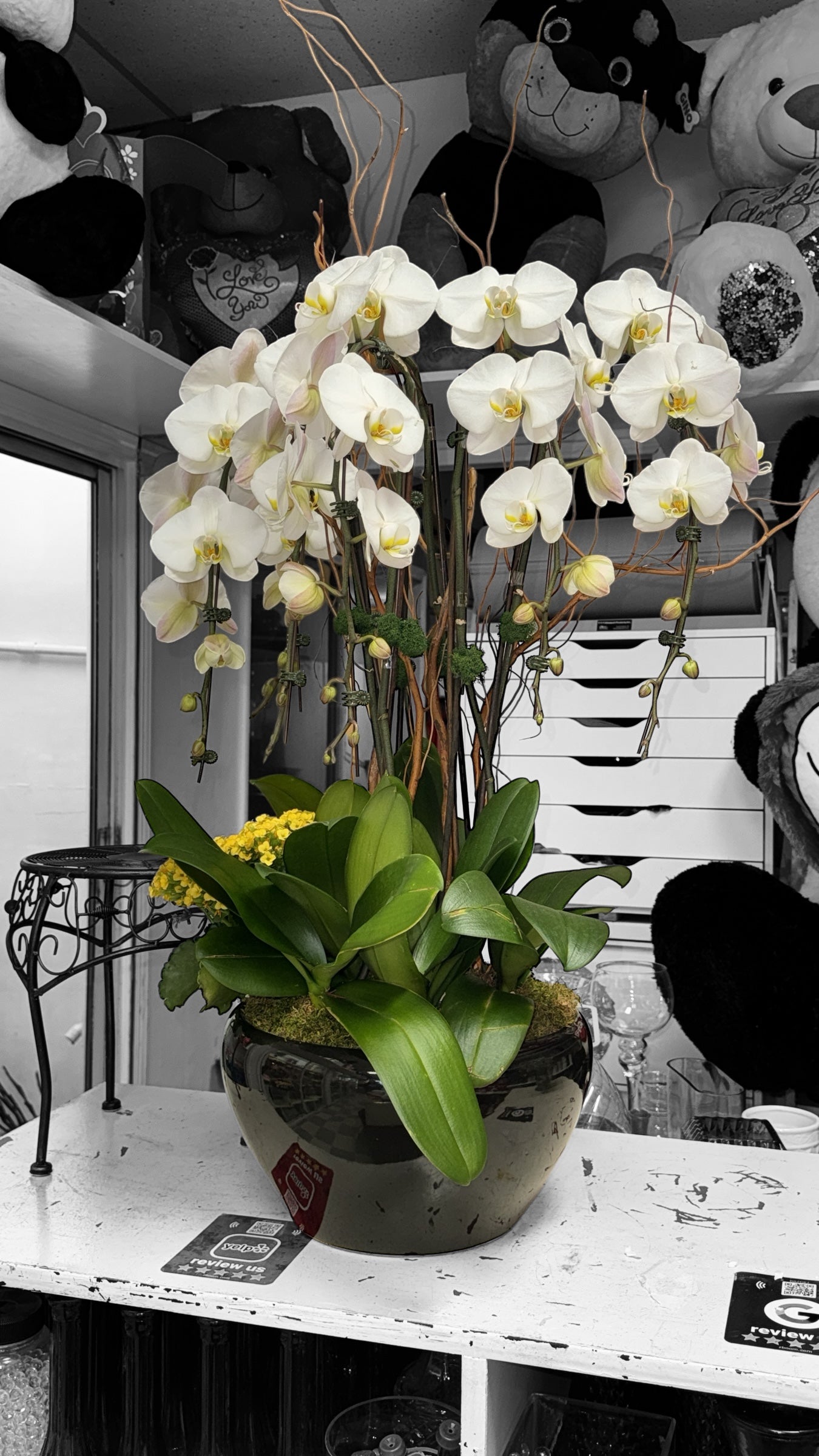 X-Large Arrangement of White Cascade Orchids image 0