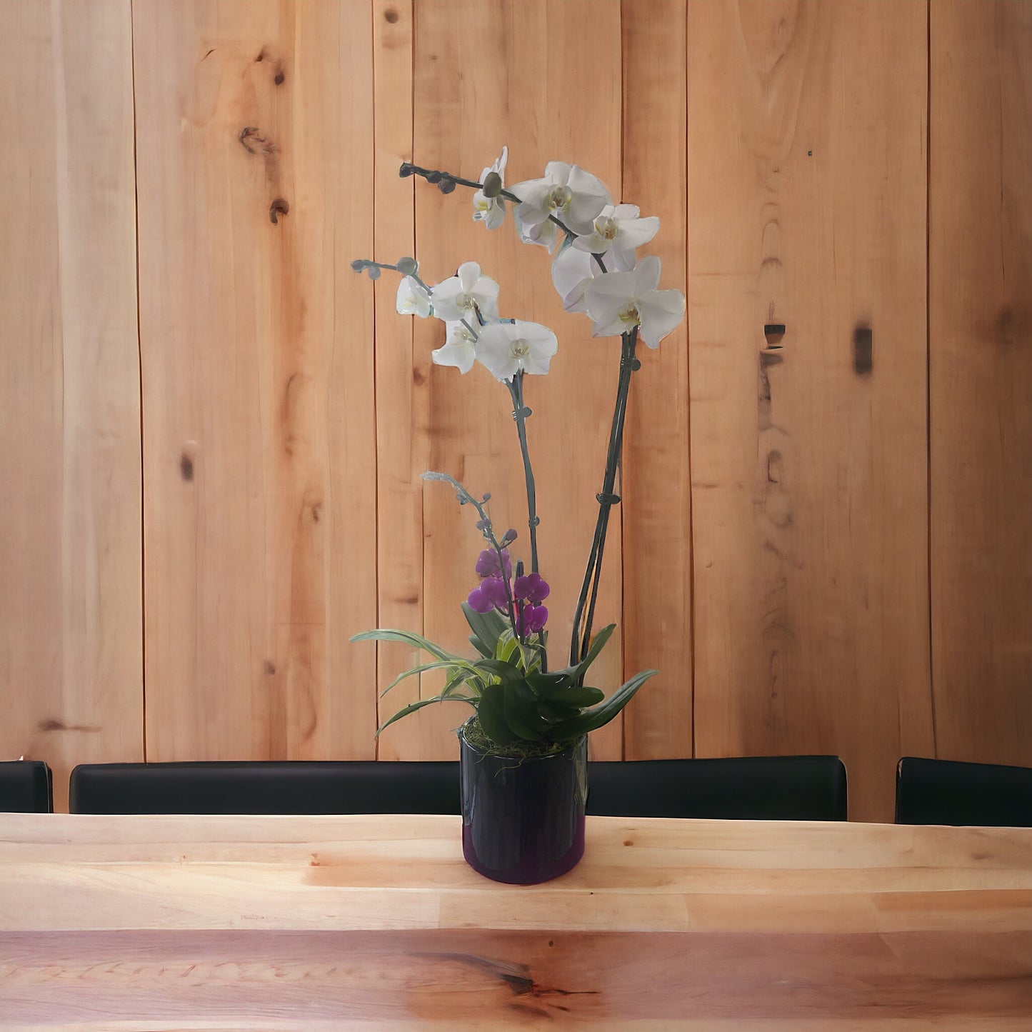 Beautiful Set of Orchids and a Small plant image 1