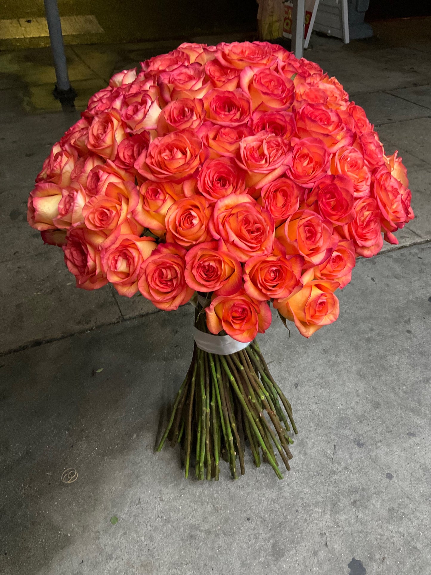 100 Premium Sky Fire Roses long Stem image 4