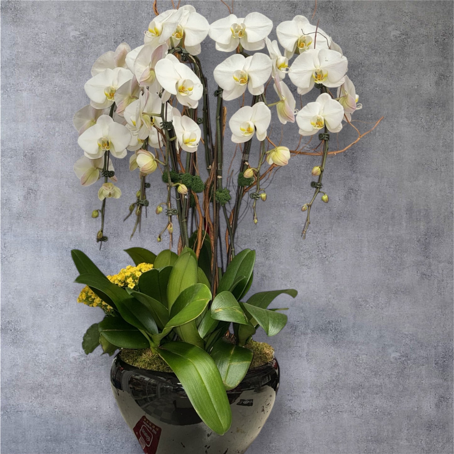 X-Large Arrangement of White Cascade Orchids image 2