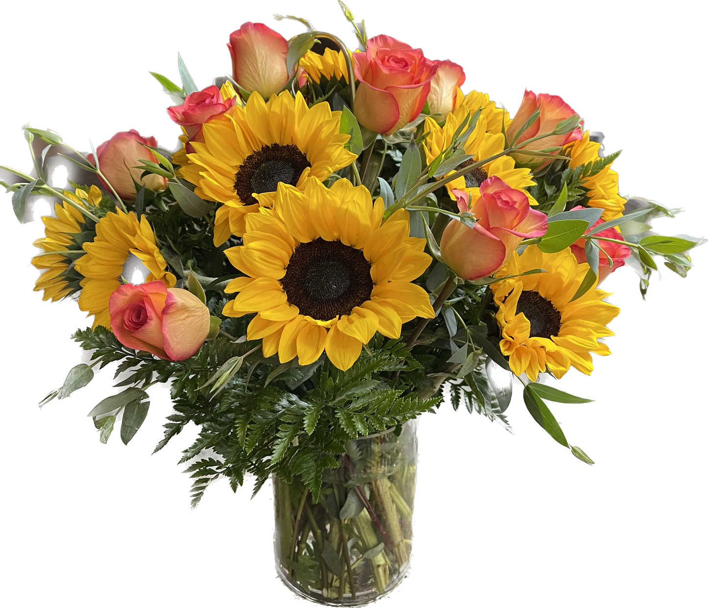 (Autumn Love) 12 Ecuatorians Sunflowers plus 12 Sky Premium in cylinder Glass  image 0