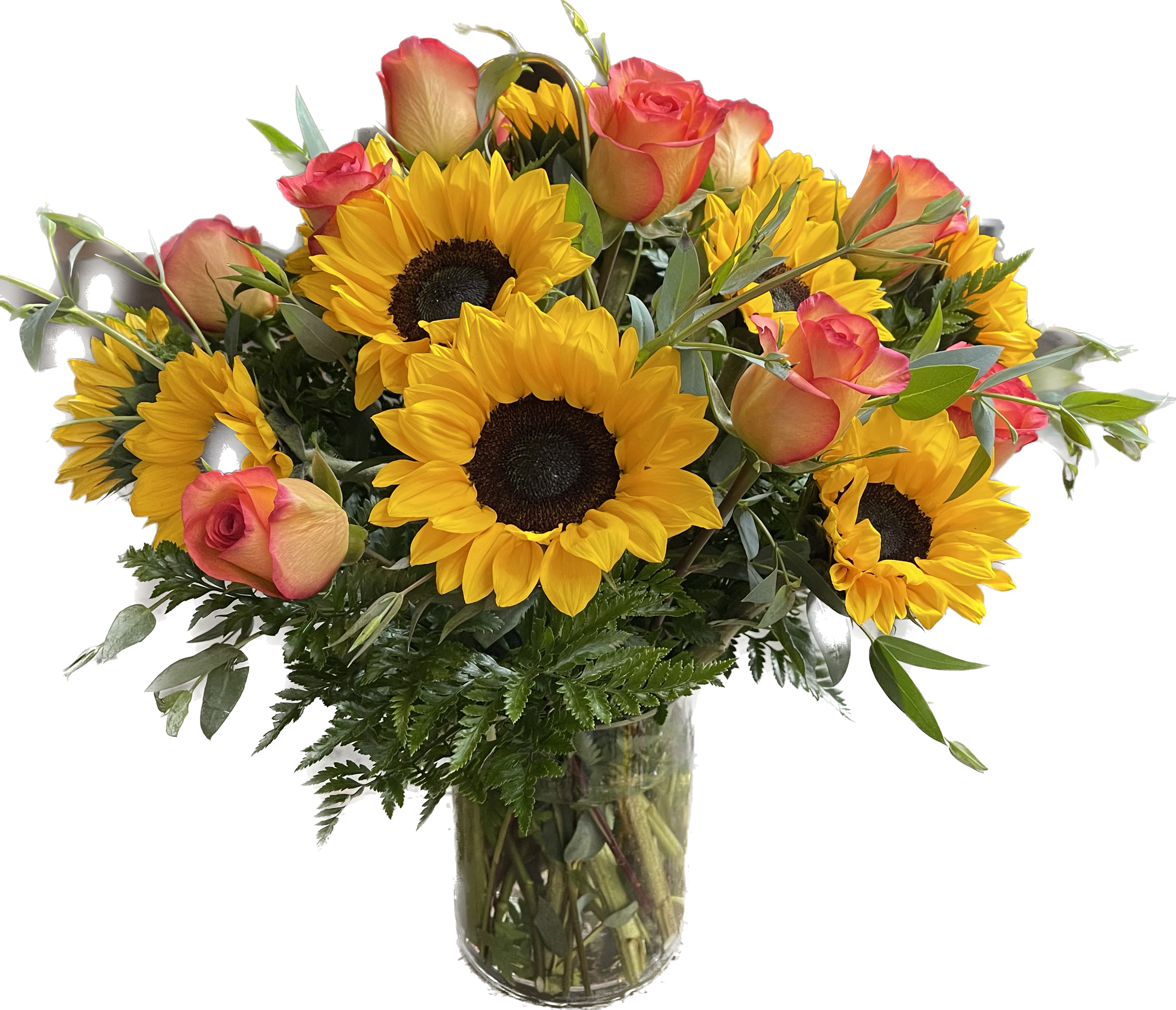 (Autumn Love) 12 Ecuatorians Sunflowers plus 12 Sky Premium in cylinder Glass  image 0