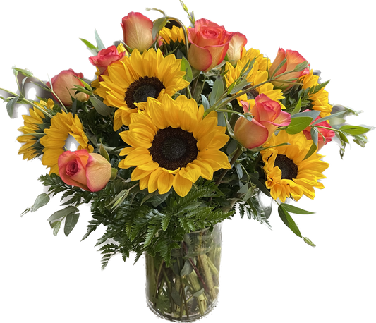 (Autumn Love) 12 Ecuatorians Sunflowers plus 12 Sky Premium in cylinder Glass  image 0