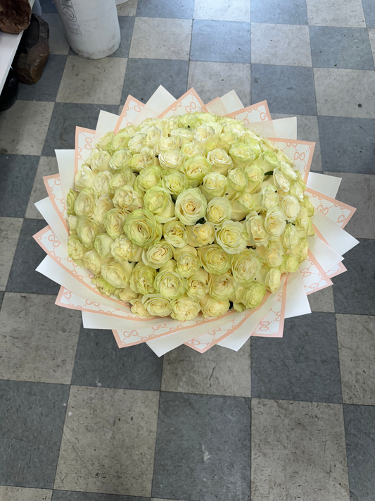 Beautiful 100 plain Premium White roses Buchon image 0