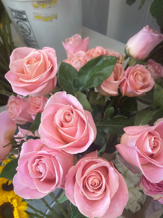 24 Beautiful Premium Light Pink Long Stem in Vase  image 0