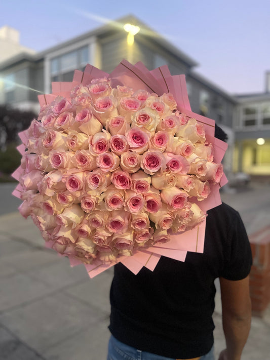100 of Baby pink roses Buchon  image 0