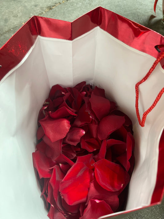 Red Petals in A gift bag  image 0